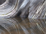 Drift Wood is Reflected on the Surface of Moosehead Lake  Maine