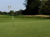 Golf Flag and Ball on the Green  Groton  Connecticut