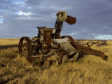 Discarded Antique Farm Harvester Machinery Rusting in a Field at Dawn  Australia