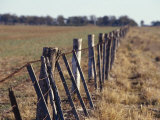 Falling Down Farm Fence During Drought Eludes to Hardship  Australia