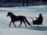 Horse-Drawn Sleigh Ride at Twilight in a Snowy Landscape