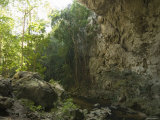 Inside Looking Out of the 65 Foot High Rio Frio Cave Entrance  Belize