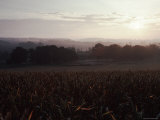 Farmer's Field in at Twilight in Hungerford  England