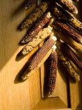 Indian Corn Door Hanging in a Farmhouse in Bartlesville  Ok  Oklahoma