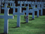 Crosses Mark the Graves of American Servicemen in Cambridge  England