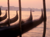 Gondolas at Sunset on the Grand Canal  Venice  Italy