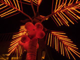 Dahab  Egypt: Orange Coconuts on Christmas Tree