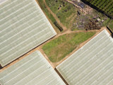 Plastic Green Houses Grow Poduce for the European Export Market  Morocco