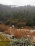 Fall Colors Scene of Creek Running into River  California