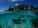 Diver Swims in the Beautiful Water Off the Isle de Coco in the Seychelles