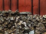Large Stack of Fire Wood Piled Next to a Red Barn Wall