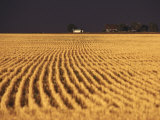 Landscape of Farm Field after Storm  Kansas
