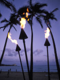 Palm Trees and Tourches in Silhouette During Sunset on Oahu  Hawaii