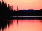 Dramatic Picture of a Forest-Edged Lake under a Pinkish-Orange Sky