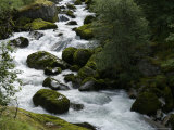 Norway  Jostedal Glacier National Park  Stream