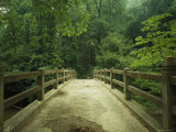Concrete Footbridge  Rock Creek Park  Washington  DC