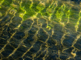 Light Shining on the Surface of the Water Rippling in the Wind  Groton  Connecticut