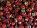 Local Strawberries for Sale at a Road-Side Market