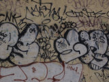 Graffiti on a Wall  Brooklyn  New York