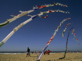 Kite's Tail at the Lincoln City Kite Festival  Oregon