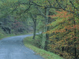 Road in the Blue Ridge Mountains  Virginia