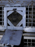 Orangutan Peering Through a Milk Feeder Door Looking for Food  Melbourne Zoo  Australia
