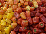 Red Bell Peppers on Sale  Marin  California