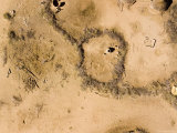 Livestock Coral in the Middle of the Saharan Steppe  Chad