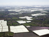 Plastic Greenhouses Stretch as Far as the Eye Can See  Morocco