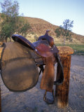 Saddle Post at Vernon Whitaker Horse Camp  California