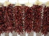 Red Peppers Hung Up to Dry  New Mexico