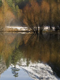 Reflection of Fall Trees in Mirror Lake  Yosemite  California