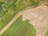 Mechanized Farming in a Region of Industrial Agriculture  Rift Valley  Kenya