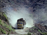 Logging in Washington State