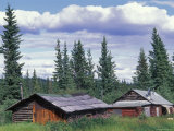 Old Log Cabin near Copper Center  Alaska