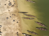 Pirogues on the Niger River  Mali