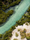Mangrove and a Clear Estuarine River Close to the Indian Ocean  Mozambique