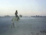 Man on Camel Back Through a Sandstorm  Niger
