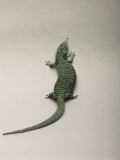 Prehansile Tailed Alligator Lizard from the Sedgwick County Zoo  Kansas