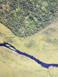 River and Flood Plain  Northeastern Democratic Republic of Congo