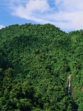 Rainforest Mountain with Waterfall
