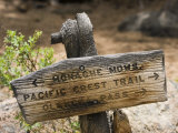 Sign on Pacific Crest Trail to Monache Meadows  Inyo National Forest  California