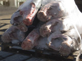 Pacific Swordfish Fresh Off the Boat on Wood Pallet  California