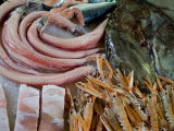 Various Species of Fish on Ice at the Rialto Fish Market in Venice  Italy