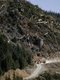 Log Truck Carries Old Growth Logs Down a Mountain