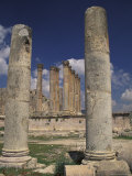 Temple of Artemis in Jaresh  Jordan