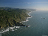 Pacific Shoreline with Redwoods and Cliffs  California