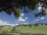 Oak Woodlands and Spring Clouds  California