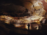 Paleolithic Bulls and Other Animals Crowd Calcite Walls at Lascaux  France