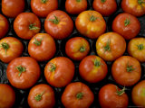Native Tomatoes at an Outdoor Market in New York City